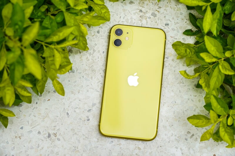 iPhone 11 iPhone 11